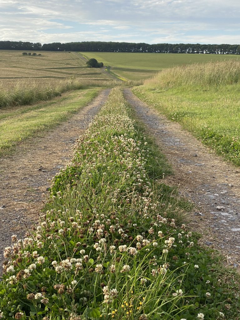 pertwood roads